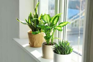 Hướng dẫn từng bước giải năng lượng nơi âm u